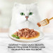 Gourmet Gold Sauce Delights mokra karma dla kota z kurczakiem 85 g - Galeria zdjęcie 2