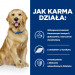HILL'S Prescription Diet Mobility j/d - sucha karma dla psa - 12kg - Galeria zdjęcie 3