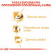 ROYAL CANIN BHN Cavalier King Charles Spaniel Adult - sucha karma dla psa dorosłego - 1,5kg - Galeria zdjęcie 4