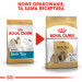 ROYAL CANIN BHN Shih Tzu Adult - sucha karma dla psa dorosłego - 1,5 kg - Galeria zdjęcie 8