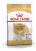 ROYAL CANIN BHN West Highland White Terrier Adult - sucha karma dla psa dorosłego - 3kg - Galeria zdjęcie 1