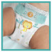 08001090951359_81747310_ECOMMERCECONTENT_SECONDARYIMAGE_TOPDOWN_CENTER_1_Pampers.jpg