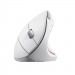 Mysz TRUST Verto Wireless vertical ergonomic White (25132) - Galeria zdjęcie 2