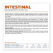 VET EXPERT Veterinary Diet Intestinal Cat - mokra karma dla kota - 100g - Galeria zdjęcie 3