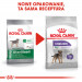 ROYAL CANIN CCN MINI STERILISED - sucha karma dla psa dorosłego - 3kg - Galeria zdjęcie 3