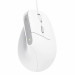 Mysz Trust BAYO II ERGONOMIC White (25397) - Galeria zdjęcie 2