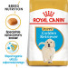 ROYAL CANIN BHN Golden Retriever Puppy - sucha karma dla szczeniąt - 12 kg - Galeria zdjęcie 2