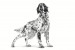 ROYAL CANIN Dog Hepatic VHN - sucha karma dla psa - 7kg - Galeria zdjęcie 3