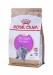 ROYAL CANIN British Shorthair Kitten 0,4kg - Galeria zdjęcie 1