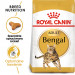 ROYAL CANIN Bengal Adult - sucha karma dla dorosłego kota - 10 kg - Galeria zdjęcie 4