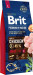 big_Brit-Premium-By-Nature-Adult-Large.jpg