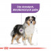 ROYAL CANIN CCN Medium Sterilised - sucha karma dla psa - 3 kg - Galeria zdjęcie 2