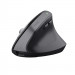 Mysz Trust BAYO+ ERGONOMIC WIRELESS Black (25146) - Galeria zdjęcie 1