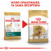 ROYAL CANIN BHN Golden Retriever - sucha karma dla psa dorosłego - 12 kg - Galeria zdjęcie 7