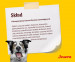 JOSERA Kids - sucha karma dla psa - 12,5kg + GRATIS - Galeria zdjęcie 10