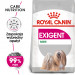 ROYAL CANIN Mini Exigent - sucha karma dla psów wybrednych - 3 kg - Galeria zdjęcie 2