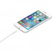 Apple Lightning to USB Cable (1m) - Galeria zdjęcie 2