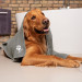 VILEDA Pet Pro XL Ręcznik z mikrofibry dla zwierząt - 100x65 cm - Galeria zdjęcie 10