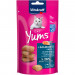 VITAKRAFT Cat Yums Łosoś - przysmak dla kota - 40g - Galeria zdjęcie 1