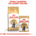 ROYAL CANIN FBN British Shorthair Adult - sucha karma dla dorosłego kota - 2 kg - Galeria zdjęcie 6