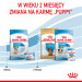ROYAL CANIN Starter Mini Mother & Babydog - sucha karma dla szczeniąt i suk w ciąży oraz okresie laktacji - 1 kg - Galeria zdjęcie 7