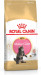 ROYAL CANIN FBN Maine Coon Kitten - sucha karma dla kociąt - 4 kg - Galeria zdjęcie 2