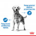ROYAL CANIN CCN MEDIUM LIGHT WEIGHT CARE - sucha karma dla psa dorosłego - 3kg - Galeria zdjęcie 3