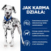 HILL'S Prescription Diet Urinary Care Canine u/d - sucha karma dla psa - 10kg - Galeria zdjęcie 4