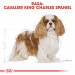 ROYAL CANIN BHN Cavalier King Charles Spaniel Adult - sucha karma dla psa dorosłego - 1,5kg - Galeria zdjęcie 3