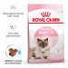 ROYAL CANIN Mother & Babycat 34 0,4kg - Galeria zdjęcie 9