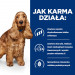 HILL'S Prescription Diet Food Sensitivites z/­d Canine - sucha karma dla psa - 10 kg - Galeria zdjęcie 4