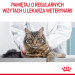 ROYAL CANIN FCN Urinary Care - sucha karma dla kota dorosłego - 4kg - Galeria zdjęcie 10
