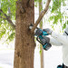 Piła łańcuhowa 18V DUC101Z01 MAKITA - Galeria zdjęcie 11