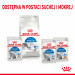 ROYAL CANIN FHN Indoor w sosie - mokra karma dla kota dorosłego - 12x85 g - Galeria zdjęcie 12
