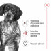 ROYAL CANIN SHN Medium Adult - sucha karma dla psa - 15 kg - Galeria zdjęcie 6