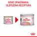 ROYAL CANIN FHN Babycat Instinctive Feline mus - mokra karma dla kociąt - puszka - 195 g - Galeria zdjęcie 3