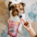 PERRO Daj Dwa Konina - przysmak dla psa - 85g - Galeria zdjęcie 4