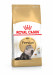ROYAL CANIN FBN Persian Adult - sucha karma dla kota dorosłego - 10 kg - Galeria zdjęcie 2