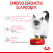Royal Canin FHN Kitten Instinctive w galaretce - mokra karma dla kociąt - 12x85 g - Galeria zdjęcie 12