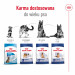 ROYAL CANIN SHN Maxi Adult - sucha karma dla psa dorosłego - 15 kg - Galeria zdjęcie 7