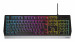 GENESIS KLAWIATURA GAMINGOWA RHOD 300 RGB US - Galeria zdjęcie 5
