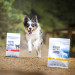 VET EXPERT Raw Paleo Ultra Medium&Large Puppy Indyk - sucha karma dla szczeniąt - 2kg - Galeria zdjęcie 7