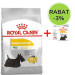 Royal Canin CCN MINI Dermacomfort 3kg + mokra karma, 12x85g - Galeria zdjęcie 1
