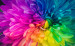 53926704|90|ProductImage|2022-03-01 02:05:15