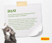JOSERA Kitten grainfree - sucha karma dla kota - 400g - Galeria zdjęcie 5