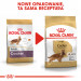 ROYAL CANIN BHN Cocker Adult - sucha karma dla psa dorosłego - 12 kg - Galeria zdjęcie 8