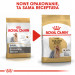 Royal Canin BHN Yorkshire Terrier Adult - sucha karma dla psa dorosłego - 1,5 kg - Galeria zdjęcie 6