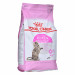 ROYAL CANIN Kitten Sterilised - sucha karma dla kociąt - 3,5 kg - Galeria zdjęcie 2