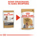 ROYAL CANIN BHN Yorkshire Terrier Adult - mokra karma dla psa dorosłego - 12x85 g - Galeria zdjęcie 9