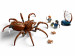 LEGO Harry Potter 76434 Aragog w Zakazanym Lesie - Galeria zdjęcie 4